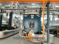 [视频]远大锅炉为其量身打造了YYQW系列燃气导热油锅炉系统方案