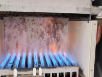 [视频]菲斯曼报F4。要定期保养锅炉哟，不然哪天它就罢工了