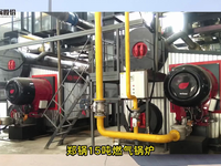[视频]15吨燃气锅炉案例：哪家锅炉厂做燃气锅炉比较好
