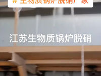 [视频]江苏生物质锅炉脱硝厂家案例多13011997763