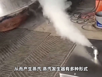 [视频]高效节能的蒸馒头蒸汽发生器