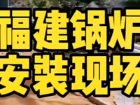 [视频]福建泉州，陈总新建2万平红掌大棚，正在安装生物质锅炉