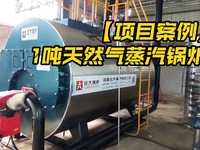 [视频]江苏2台蒸汽锅炉运行现场
