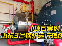 [视频]【案例】山东3台蒸汽/导热油锅炉(用于有机化学原料加工行业)