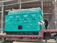 [视频]DZH2-1.25-SCII型型2吨生物质蒸汽锅炉 生物质蒸汽发生器免办手续