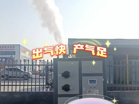 [视频]生物质蒸汽发生器源头厂家,用效果说话
