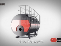 [视频]wns型燃气蒸汽锅炉，蒸发量：2-20t/h，配套全自动低氮燃烧器