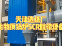 [视频]天津生物质锅炉脱硝现场