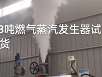 [视频]蒸汽发生器试机发货
