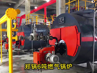 [视频]郑锅6吨燃气锅炉：配备低氮燃烧器，节能高效，WNS型号参数齐全