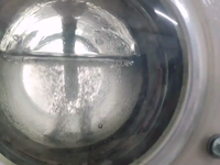 [视频]蒸汽发生器中欢脱的水