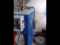 [视频]全自动电加热蒸汽发生器 100型燃油蒸汽发生器辽宁