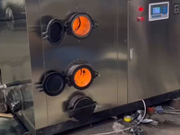 [视频]200KG/0.2T #生物质颗粒蒸汽发生器 调试备发货现场