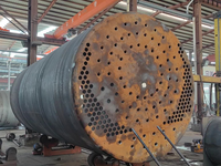 [视频]15吨低氮冷凝燃气蒸汽锅炉  蒸汽锅炉  大康锅炉  品质保证