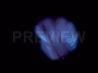 [视频]燃气锅炉的蓝色火焰熄灭视频素材