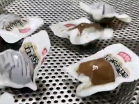 [视频]真空卤蛋成套设备卤蛋杀菌锅卤蛋清洗机卤蛋蒸汽发生器