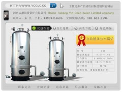 （太康锅炉）银晨立式燃煤蒸汽锅炉