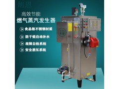 旭恩高节能电加热油污清洗蒸汽发生器