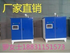 食品加工蒸汽发生器