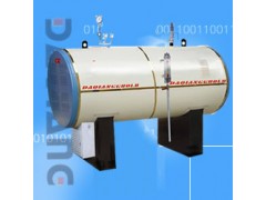 大强电蒸汽锅炉