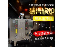 不锈钢干洗店全自动节能蒸汽锅炉