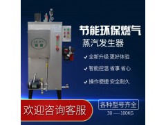 旭恩全自动燃气蒸汽发生器30kg