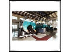 WNS燃气蒸汽锅炉 WNS8-1.25-YQ