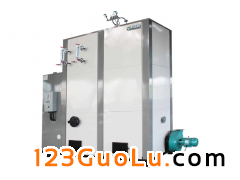 生物质蒸汽锅炉