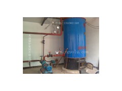 60万链条导热油锅炉