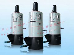 立式生物质蒸汽锅炉