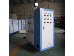 立式电蒸汽发生器