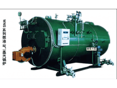 WNS系列燃油（气）蒸汽（热水）锅炉
