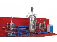 50L-500L全自动发酵罐