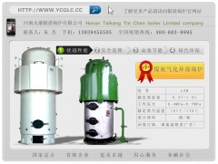 (太康锅炉)银晨煤炭气化环保蒸汽锅炉