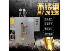 蒸汽发生器全自动 蒸汽锅炉24KW