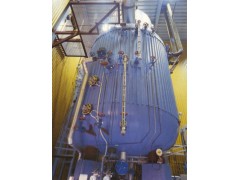 核电启动电极蒸汽锅炉