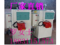 电加热蒸汽发生器常恒全自动