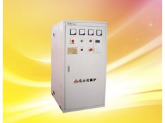 供应立式电热水锅炉