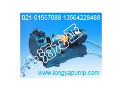 SZBD075节能泵选型