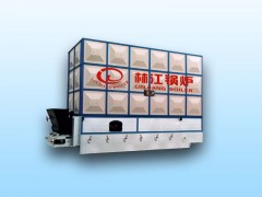 DZL系列生物质燃料蒸汽锅炉