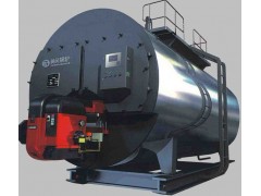 立式燃煤蒸汽锅炉-鼎鑫锅炉