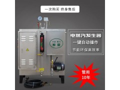 食品加工用燃气蒸汽发生器