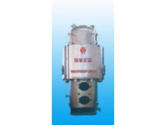 立式水管蒸汽锅炉