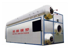 整(组)装燃煤热水锅炉