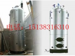 1吨立式燃煤蒸汽锅炉