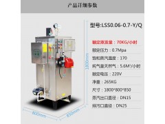 全自动100kw燃气蒸汽发生器供应商