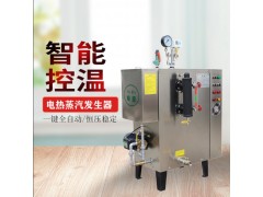 旭恩生活用生物质蒸汽发生器