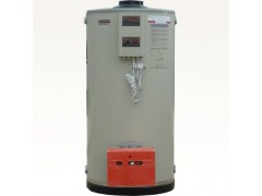 黑龙江沼气锅炉