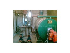 10万大卡燃液化气导热油锅炉