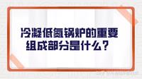 冷凝低氮锅炉的重要组成部分是什么？